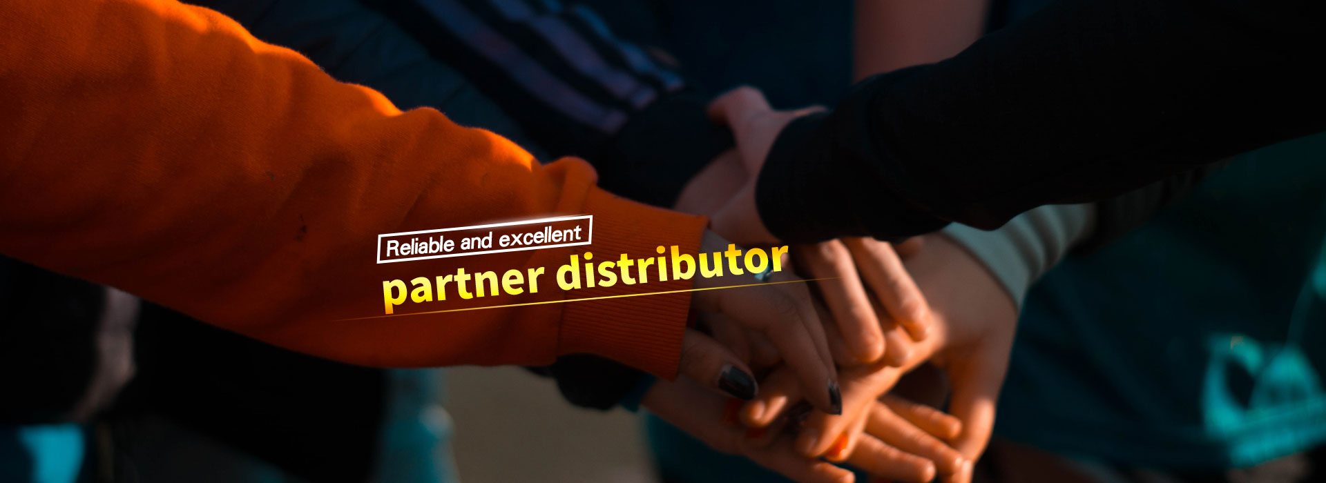 Reliable and excellent partner distributor